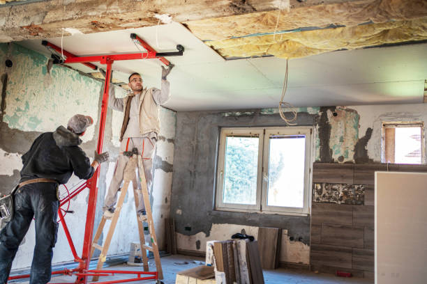 Best Insulation Contractor Near Me  in Hartley, IA